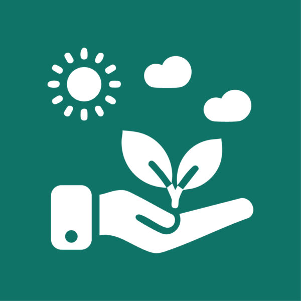 Ao colaborar com cooperativas, os parceiros contribuem diretamente para práticas sustentáveis e éticas, alinhando-se com as tendências do mercado que valorizam o impacto positivo na sociedade.